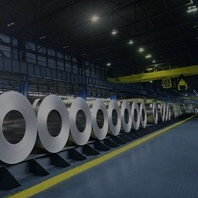 开云体育登录网址查询